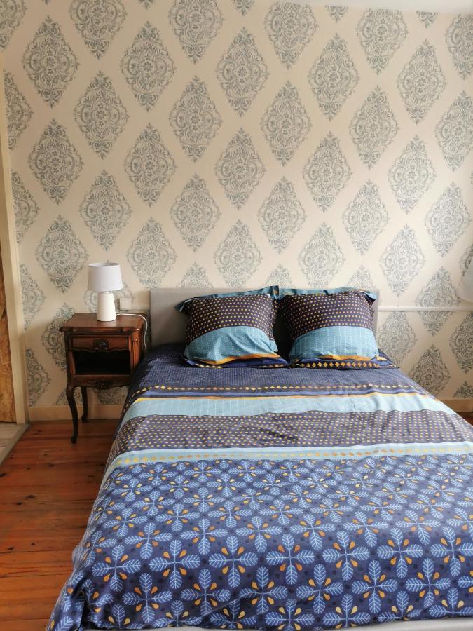 Chambre Privee Dans Appart Partage, Centre Ville, Avec Vue Sur Les Monuments Le Puy-en-Velay Екстериор снимка
